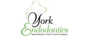 York Endodontics logo