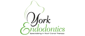 York Endodontics logo