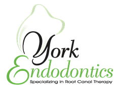 York Endodontics logo